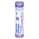 Hypericum Perforatum - 30 CH - 80 pellets