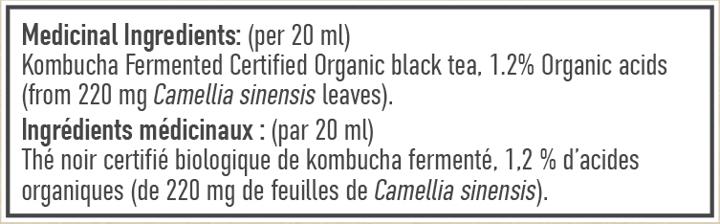 Fermented Kombucha - 500 ml