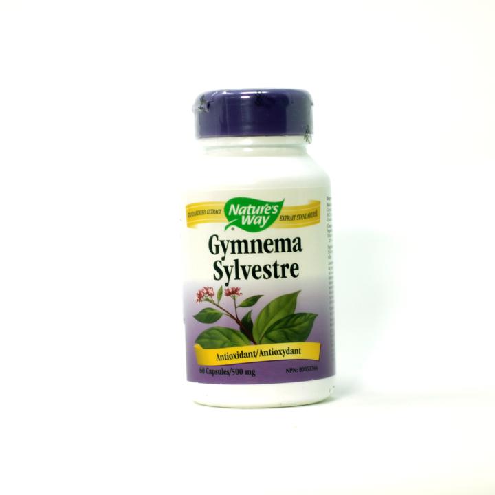 Gymnema Sylvestre - 500 mg - 60 capsules