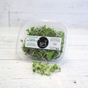 Sprouts - Classic Mix - Microgreens