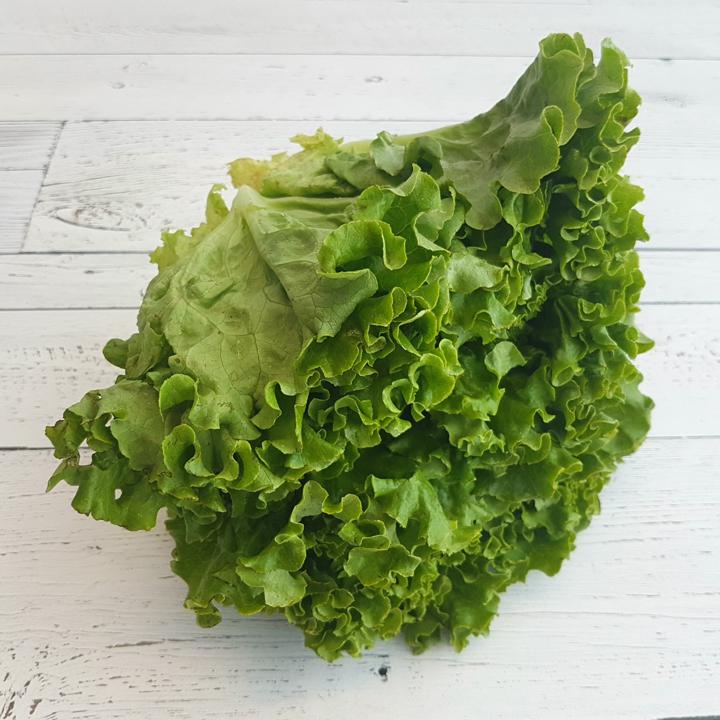 Green Leaf Lettuce