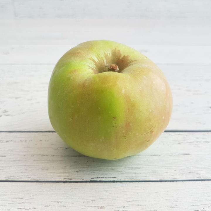 Apples Gravenstein Org