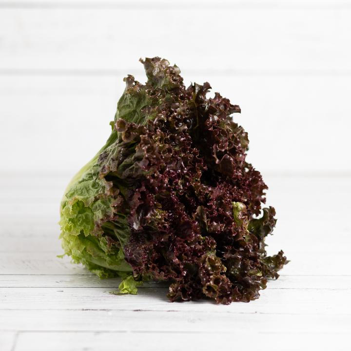 Red Leaf Lettuce