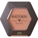 Blush Makeup - Bare Peach