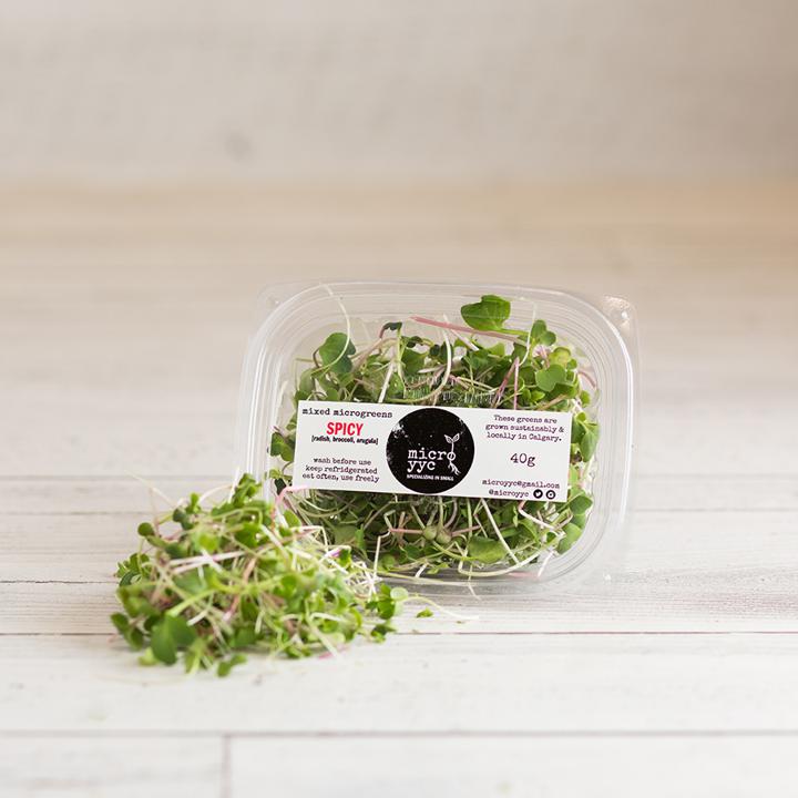 Sprouts - Spicy Mix - Microgreens