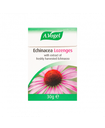 Echinacea Lozenges