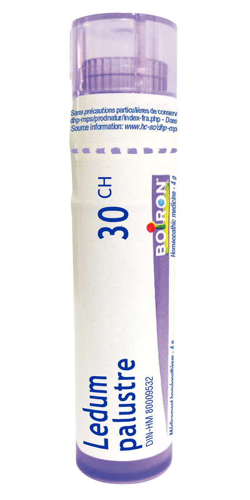 Ledum Palustre - 30 CH