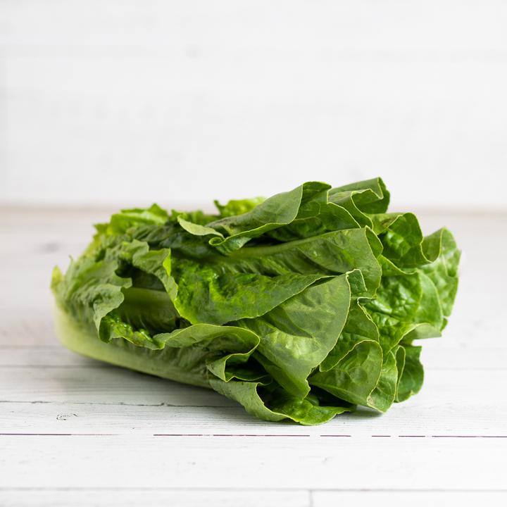 Romaine Lettuce