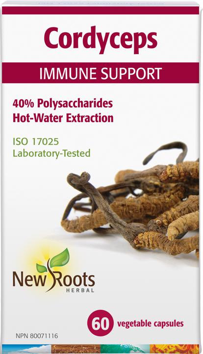 Cordyceps - 500 mg