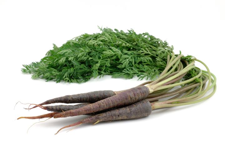 Purple Carrots Bunch