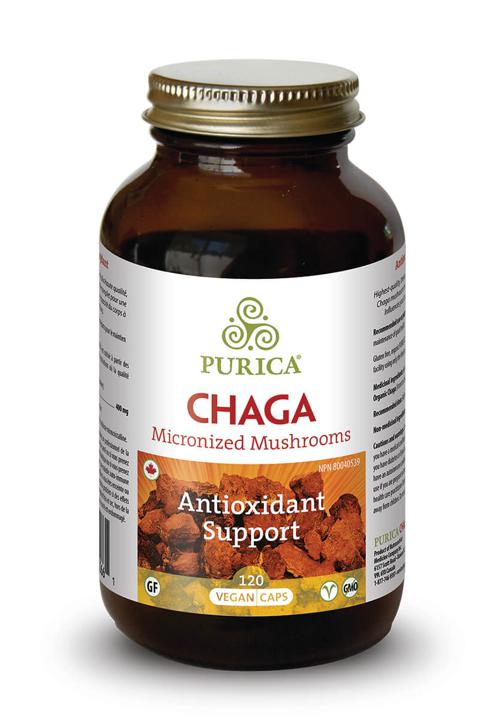 Chaga