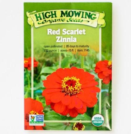 Red Scarlet Zinnia