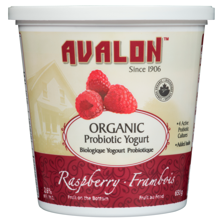 Probiotic Yogurt - Raspberry