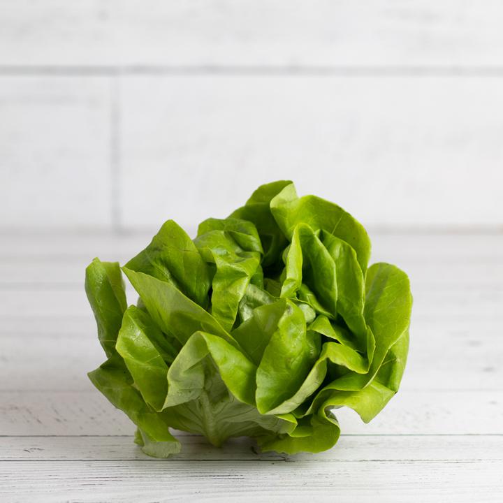 Green Butter Lettuce