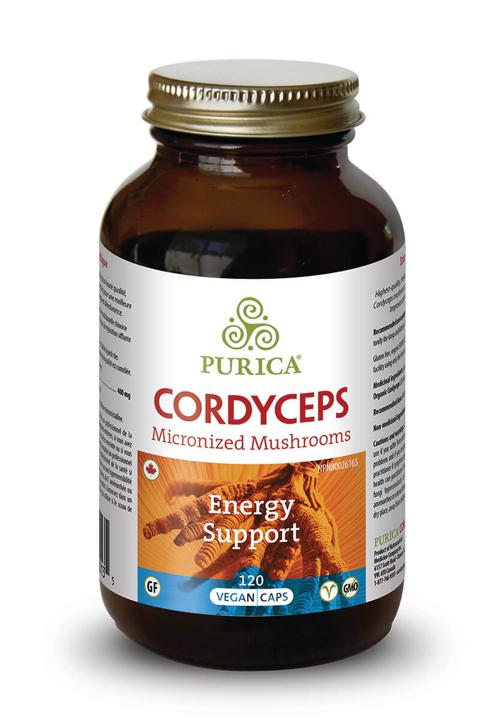 Cordyceps