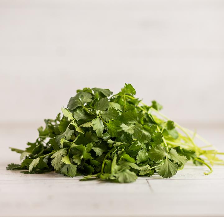 Cilantro