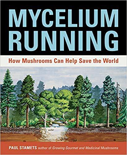 Mycelium Running