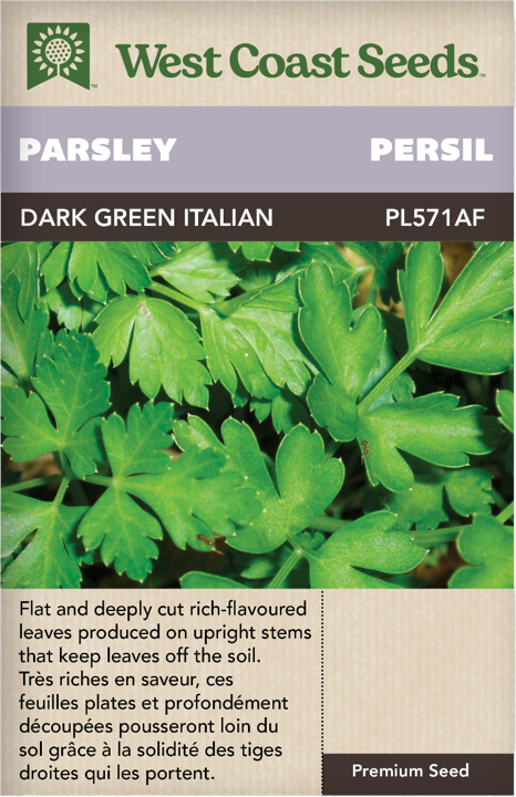 Seeds - Dark Green Italian Parsley