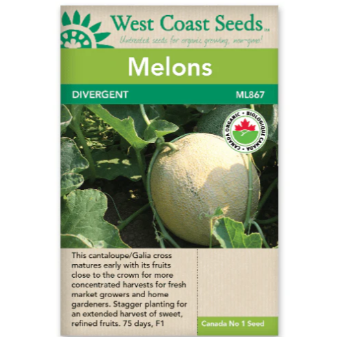 Seeds - Divergent Melon Certified Organic