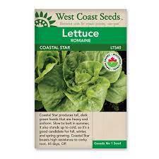 Seeds - Coastal Star Romaine Lettuce