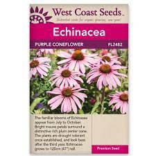 Seeds - Coneflowers Purple Echinacea