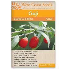 Seeds - Shanghai Express (Goji)