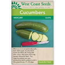 Seeds - Mercury F1 Cucumber