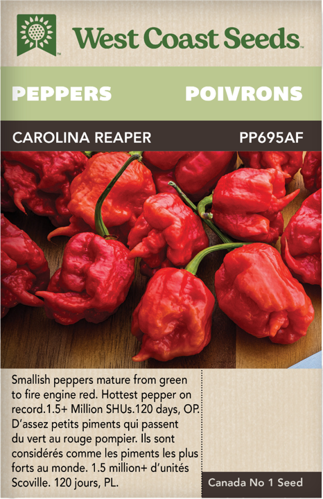 Seeds - Carolina Reaper Spicy Pepper