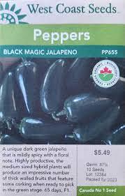 Seeds - Black Magic Jalapeno F1 Pepper Certified Organic