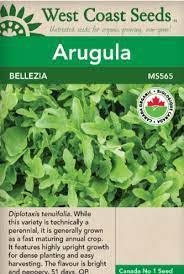 Seeds - Bellezia Arugula Certified Organic