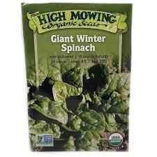 Giant Winter Spinach