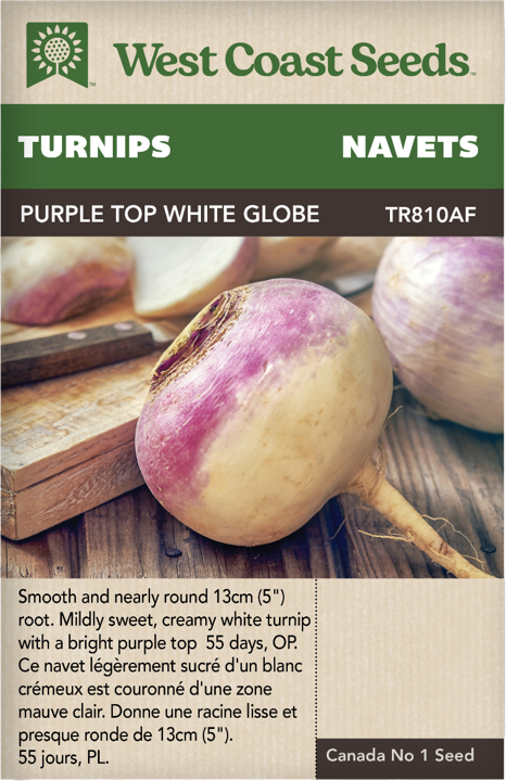 Seeds - Purple Top White Globe Turnip