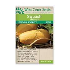 Seeds - Spaghetti Squash