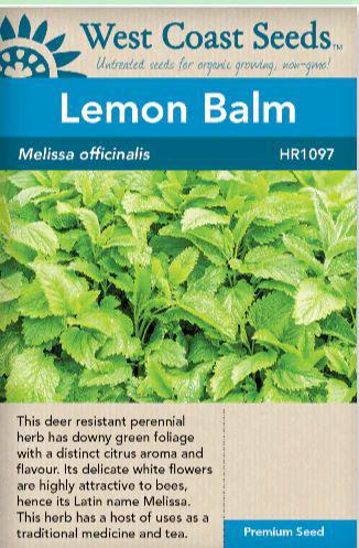 Seeds - Lemon Balm