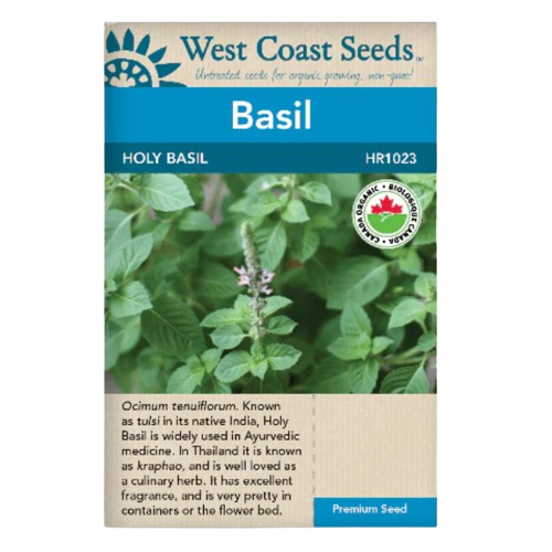 Seeds - Holy Basil Certified Organic