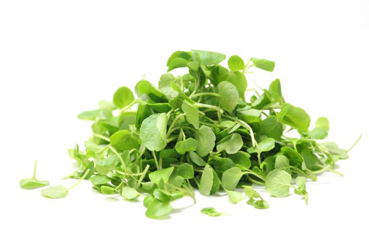 Watercress