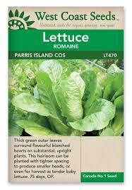 Seeds - Parris Island Lettuce