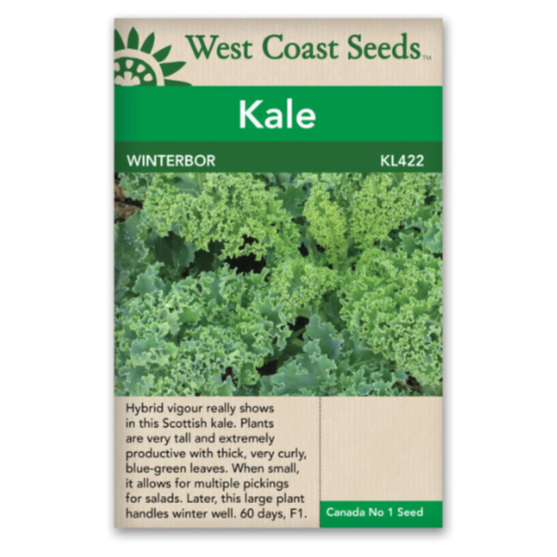 Seeds - Winterbor F1 Kale