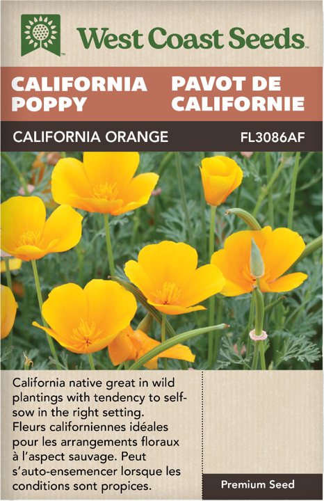 Seeds - California Orange Poppies