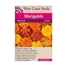 Seeds - Brocade Marigold