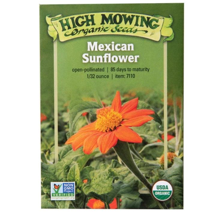 Mexican Sunflower