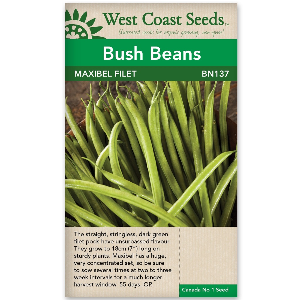 Seeds - Beans Bush Maxibel Filet