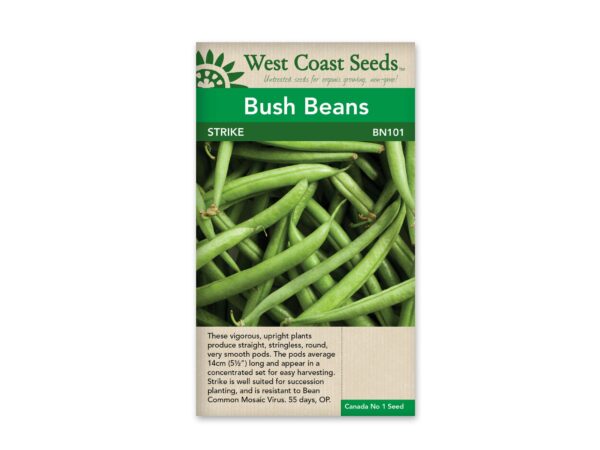 Bush Beans  Strike seeds