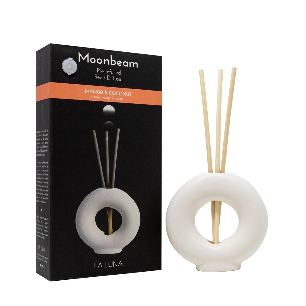 Moonbeam Holder and Infused Reeds