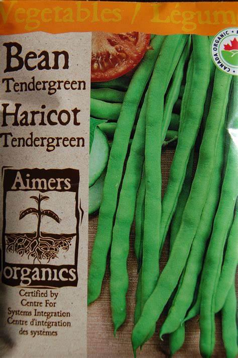 Tendergreen Green Bean